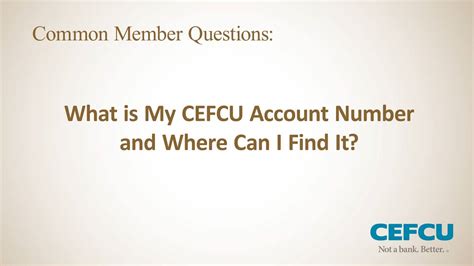 cefcu phone number